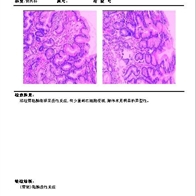 病理图文影像处理系统